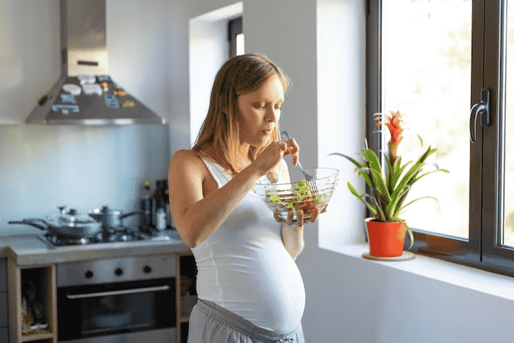 Pregnancy Diet